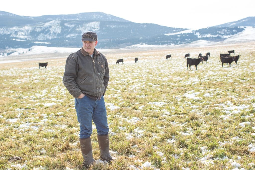 Farmer in a field