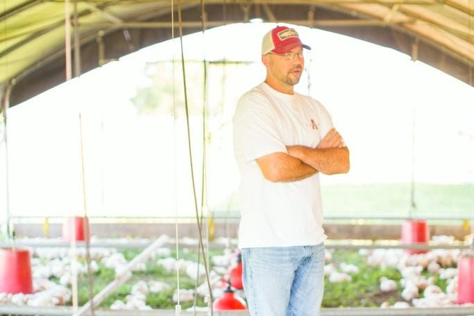Bill Staggs, chicken farmer
