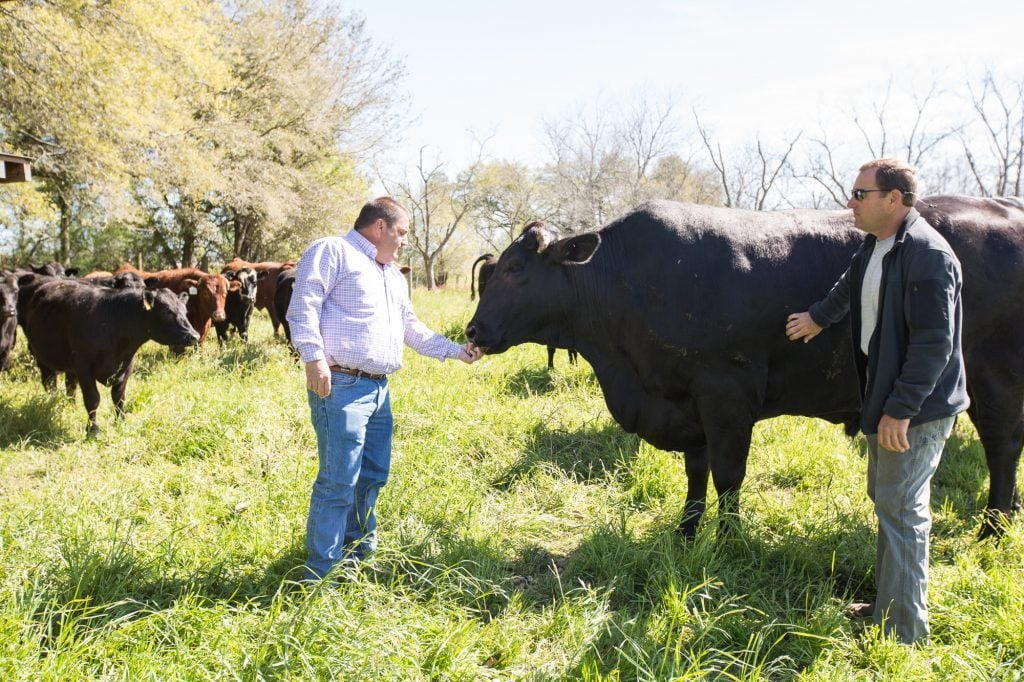 Cattle Farmers