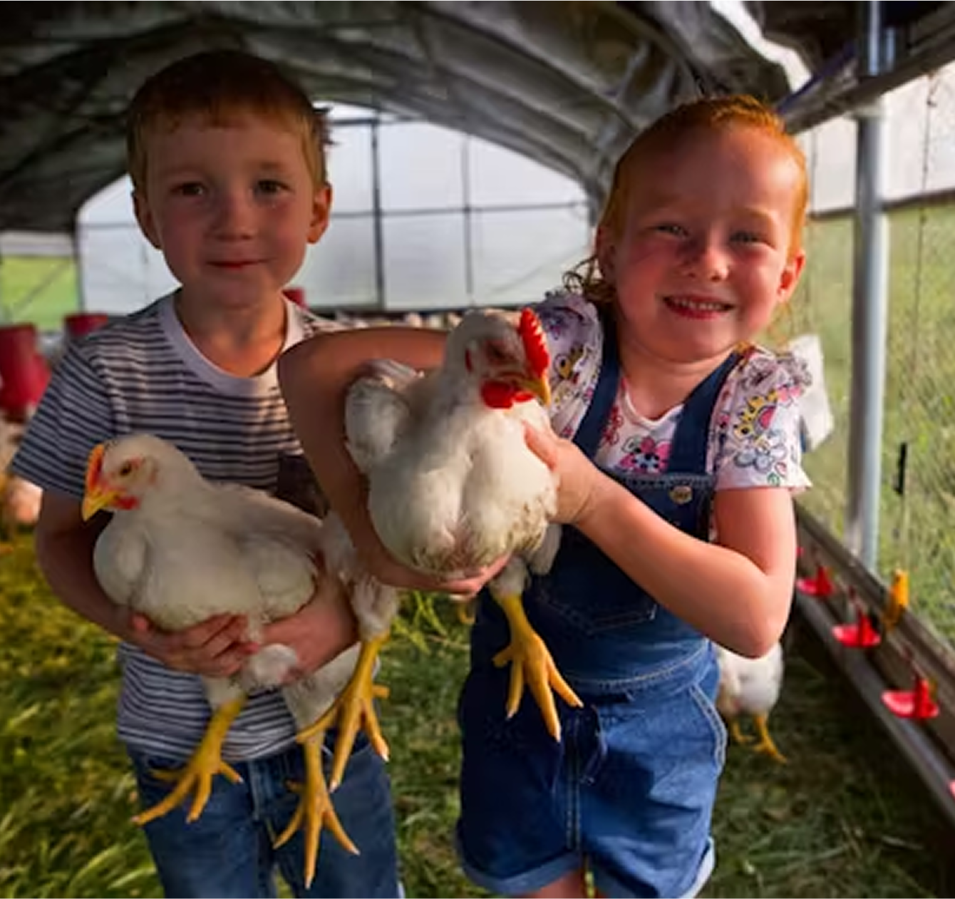 Two children holding chickens in a barn setting