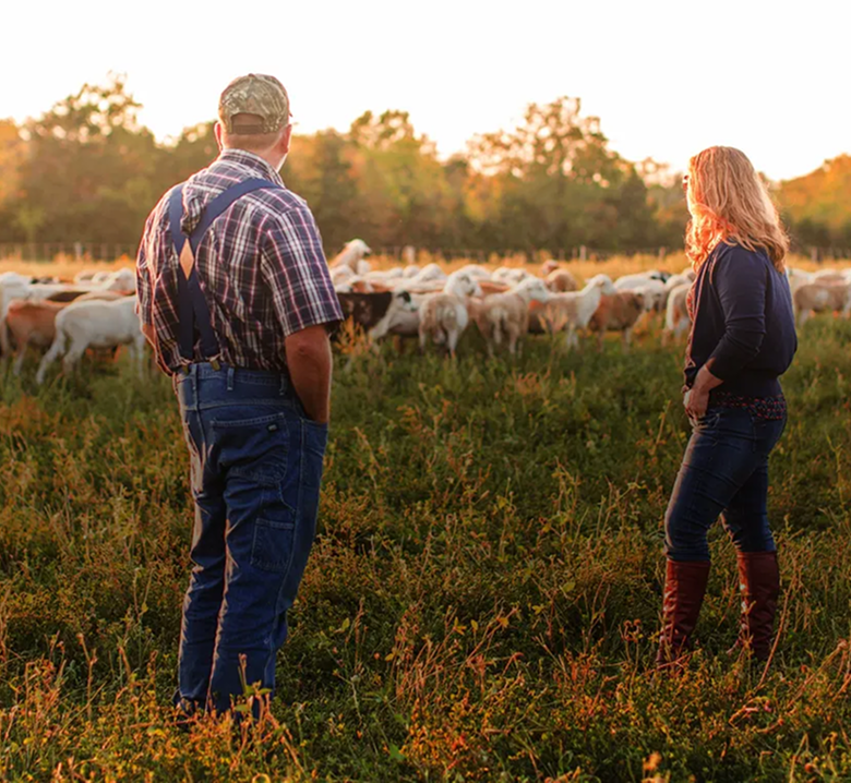 enjoy the highest quality meat & help us save America’s family farms