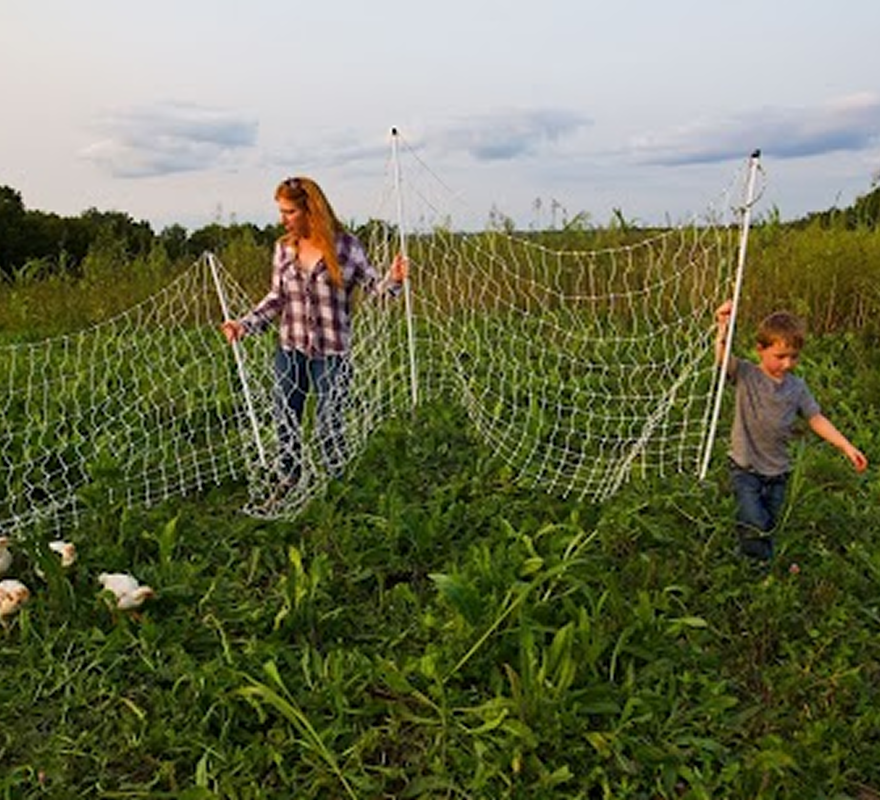 Lucinda on the farm