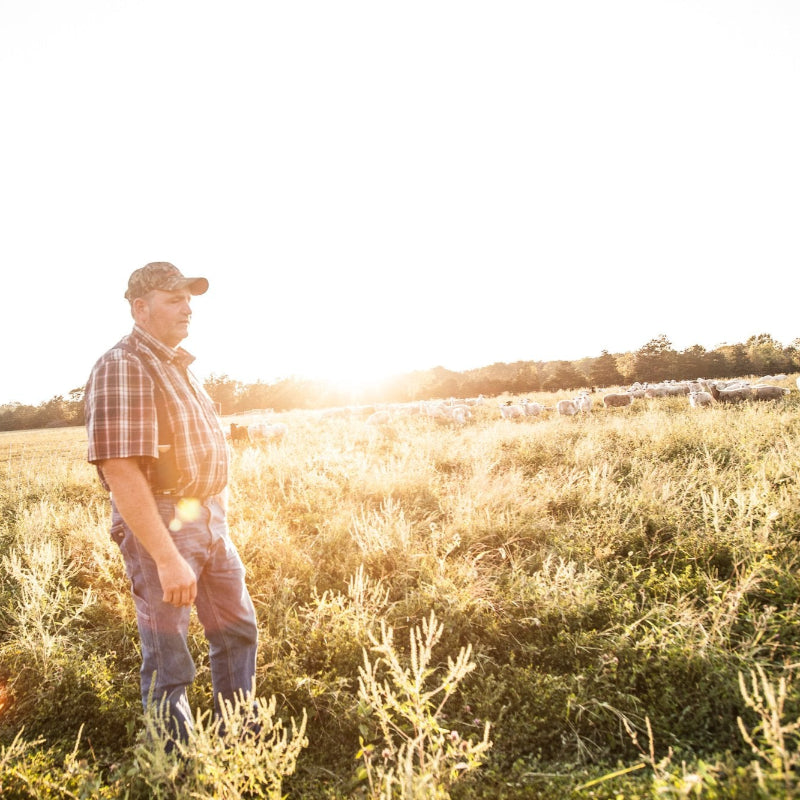 Farmer standing in a field with the sun shining behind him